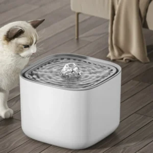 تشجيع القطط على شرب الماء